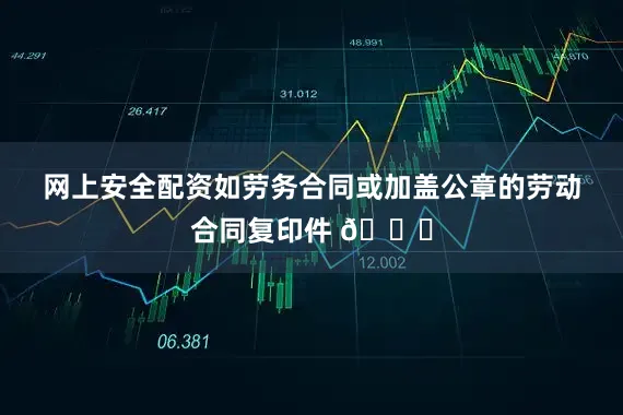 网上安全配资如劳务合同或加盖公章的劳动合同复印件 📄